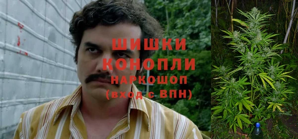 дмт Володарск