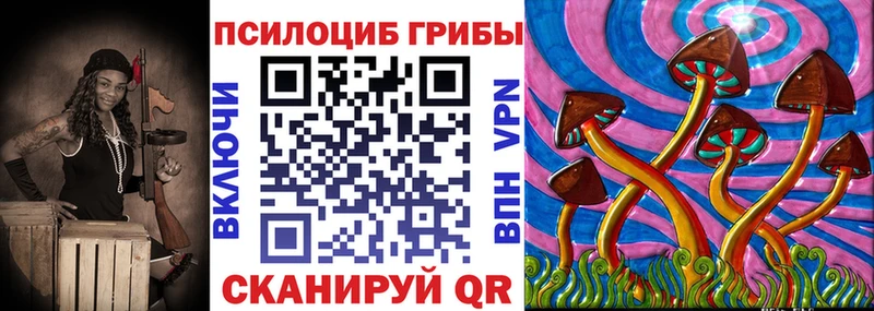 Галлюциногенные грибы Psilocybine cubensis  Купить где  Горячий Ключ 